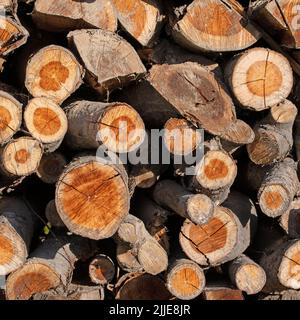 Stacked firewood in a closeup Stock Photo