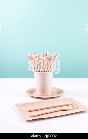 Eco friendly disposable tableware. Paper plates, cups, straws and wooden cutlery. Zero waste, plastic free items. Sustainable lifestyle concept. Copy Stock Photo