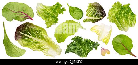 Falling salad leaves isolated on white background Stock Photo