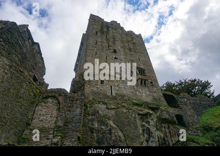 Blarney, Co. Cork, Ireland: The North Wall of Blarney Castle, a medieval stronghold built in 1446. Stock Photo