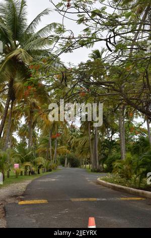 Pigeon Point, Tobago - July 12, 2022 - Pigeon Point Heritage Park Stock Photo