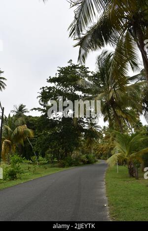 Pigeon Point, Tobago - July 12, 2022 - Pigeon Point Heritage Park Stock Photo