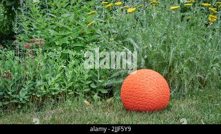 grooved and textured, heavy rubber slam ball filled with sand in a backyard, exercise and functional fitness concept Stock Photo