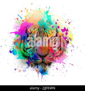 Colorful hand-drawn tiger muzzle, abstract colorful background Stock Photo