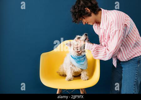 Side view of young pet owner touching her dog who is sitting on yellow chair Stock Photo