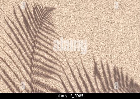 Tropical palm branch with shadow on a beige concrete wall, natural texture. Abstract background. Copy space. Summer wallpaper, minimal concept. Templa Stock Photo