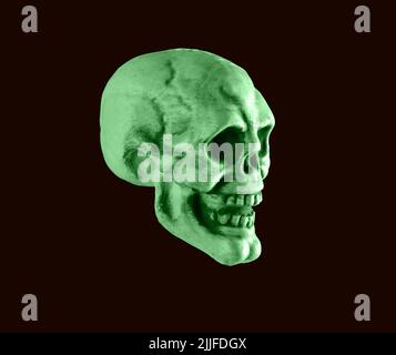 Green human skull on black background. Halloween holiday, horror or anatomy concept. High quality photo Stock Photo