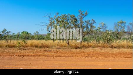 Savanna woodlands and Pindan soil along the Gibb River Road Kimberley Western Australia. Savanna woodlands and Pindan soil along the Gibb River Road Kimberley Western Australia.