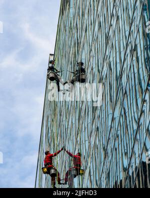 Group of industrial climbers cleaning windows on the facade of an office building at a height. Stock Photo
