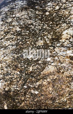 Gray granite with black and white inclusions. Granite background texture, top view Stock Photo
