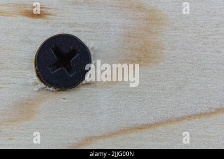 Close-up of the head of a black self-tapping screw screwed into a wooden board. PH type slot - Phillips. Place for text or logo. Stock Photo