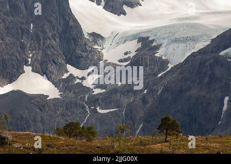 Glacier in Lyngen Alps. Large glacier on the foot of a mountain with a meadow in the foreground and a large tree. Stock Photo