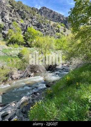 A vertical shot of Logan River near Logan, Utah, USA Stock Photo