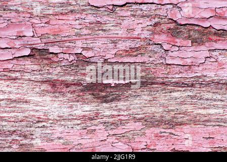 wood texture. background old panels. High quality photo Stock Photo