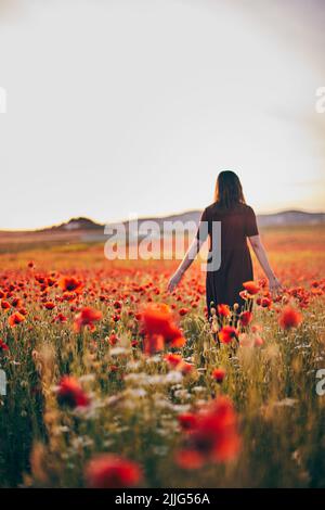 A young woman poses in a field with red wild poppies at sunset. Vertical photo. Stock Photo