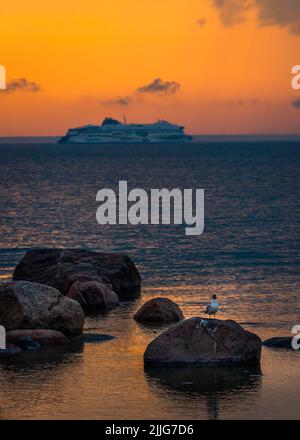 Tallinn, Estonia - 07.15.2022: A beautiful seagull resting on a rocks during a beautiful sunset on the background of a Tallink ship to Finland Stock Photo