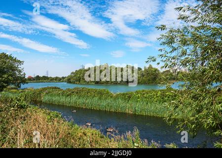 Walthamstow Wetlands and the Coppermill Stream in summertime, Walthamstow, London, South East England Stock Photo