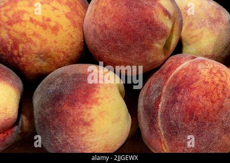 Image harvest fruit background from ripe peaches Stock Photo