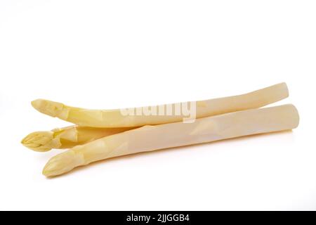 Fresh white asparagus  isolated on white background Stock Photo