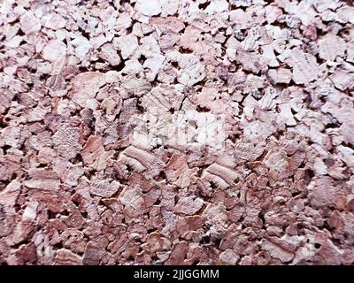 Cork wood extreme close-up macro pattern image Stock Photo