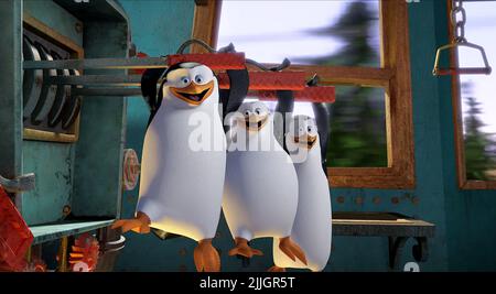 PENGUINS, MADAGASCAR 3: EUROPE'S MOST WANTED, 2012 Stock Photo