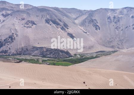 Farming in the oasis of the Lluta River Valley in the Atacama Desert in northern Chile. Stock Photo