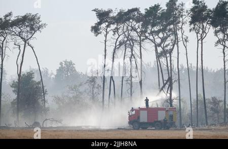 Falkenberg, Germany. 26th July, 2022. Firefighters extinguishing a forest fire in the Elbe-Elster district. Credit: Sebastian Willnow/dpa/Alamy Live News Stock Photo