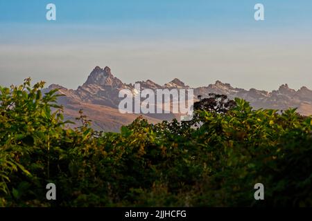 View of the Mount Kenya, excellent. Montane cloud forest and green trees in the foreground, huge mountains and blue sky in the background. The highest Stock Photo