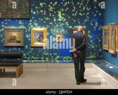 The Burrell Collection: a man looks at the flower paintings in one of the refurbished galleries, where floral images are projected onto the walls. Stock Photo