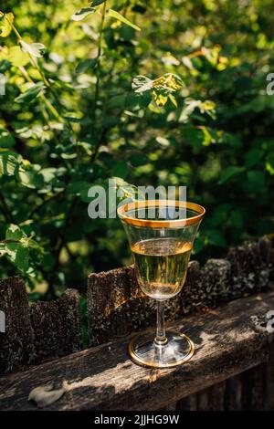 white, rose wine in vintage gold rim glass outdoor on old fence by tree Stock Photo