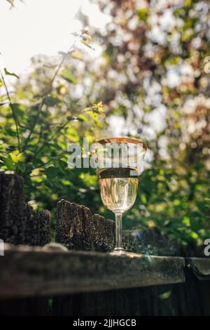 white, rose wine in vintage gold rim glass outdoor on old fence by tree Stock Photo