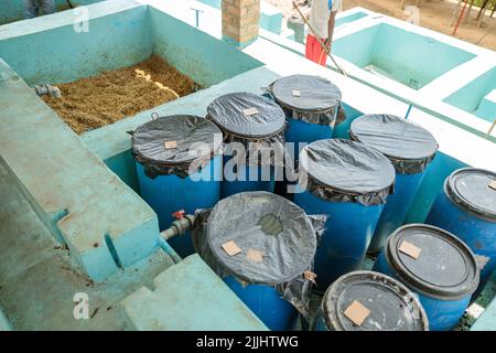 Closed plastic containers standing on washing station on coffee farm in Africa Stock Photo