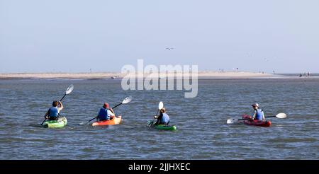 Crab Bank Island in South Carolina located in Charleston Harbor. Kayaking to the island is popular to the bird sanctuary. Stock Photo