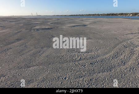 Crab Bank Island near Mt. Pleasant, S.C. Crab Bank is a bird sanctuary. Stock Photo