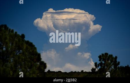 Towering cumulonimbus clouds form on the horizon in New Mexico near Santa Fe. Stock Photo
