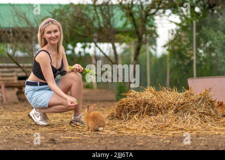 Girl feeds brown parsley rabbit easter bunny white background garden, for cute young in natural from summer grass, beautiful animal. Funny little, Stock Photo