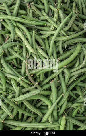 fresh organic green beans from farm close up from different angle Stock Photo