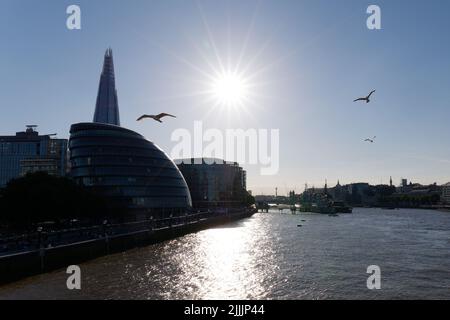 London, Greater London, England, June 22 2022: Birds flying over the River Thames on a summers evening, City Hall and The Shard are left. Stock Photo