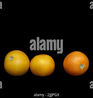 Image of two yellow and one orange tomatoes on a black background Stock Photo