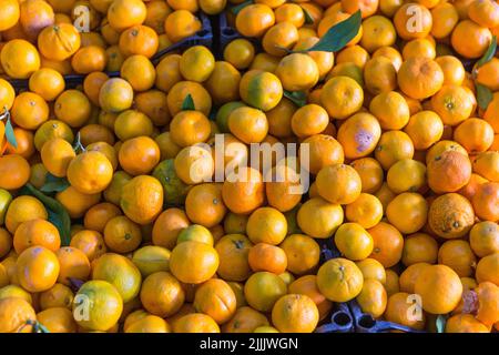 Tangerines standing on the market stall Stock Photo