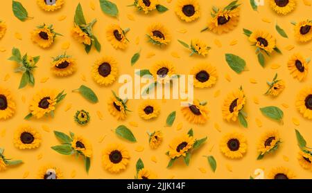 Seamless floral pattern of ornamental sunflower flowers, leaves buds and petals on yellow background top view flat lay Stock Photo