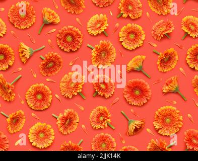 Seamless floral pattern of gerbera flowers and petals on red background top view flat lay Stock Photo