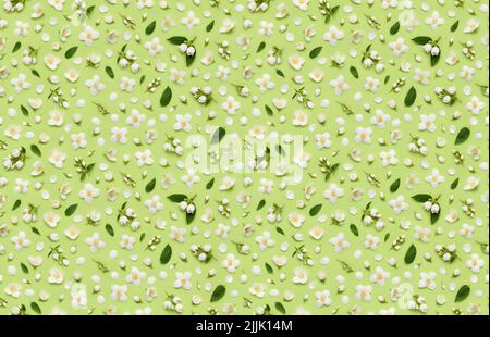 Seamless floral pattern of Jasminum Grandiflorum Royal Jasmine flowers, leaves buds and petals on green background top view flat lay Stock Photo