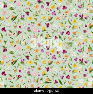 Seamless floral pattern of assorted Alstroemeria flowers, also known as Peruvian lily or lily of the Incas, leaves buds and petals on green background Stock Photo