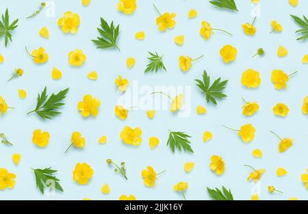 Seamless floral pattern of yellow blooming buttercup, common wild meadow flower, with buds, leaves and petals top view flat lay background. Stock Photo