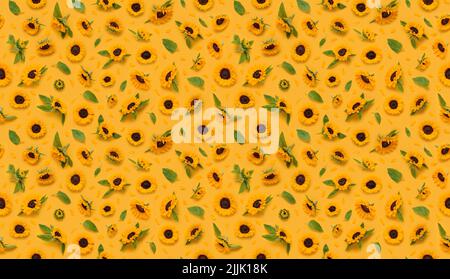 Seamless floral pattern of ornamental sunflower flowers, leaves buds and petals on yellow background top view flat lay Stock Photo