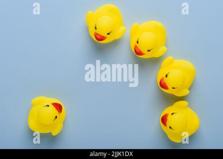 One rubber duck in front of group, announcement, education or meeting concept, on blue background top view Stock Photo