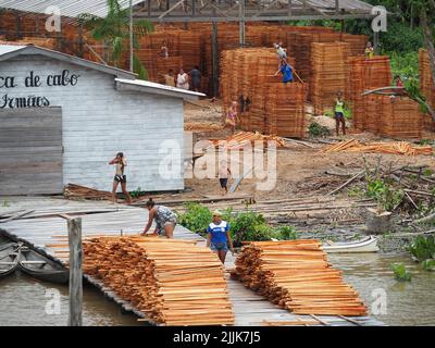 The people working in the wood factory at the shore of  Amazon river in Brazil Stock Photo