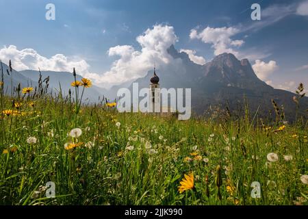 A meadow flower field with an old church seen in far against the blue sky with clouds Stock Photo