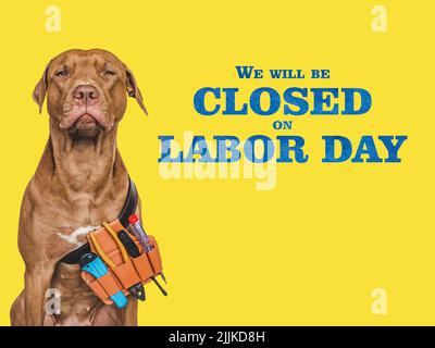 Signboard with the inscription We will be closed on Labor Day. Lovable, pretty puppy and hand tools. Closeup, indoors. Studio photo. Congratulations f Stock Photo